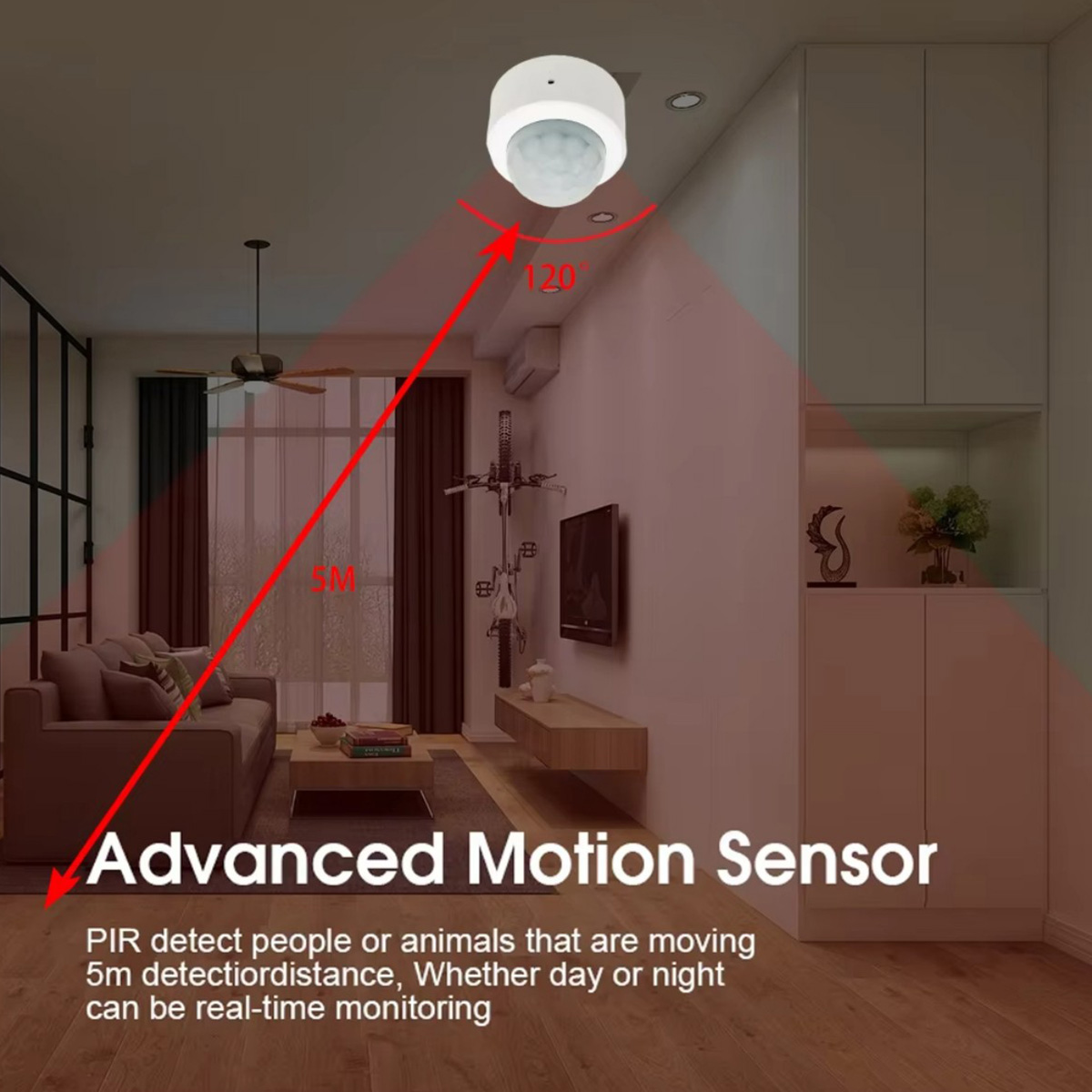 Zigbee PIR Motion Sensor Human - Home Security Tools recensie en prijs