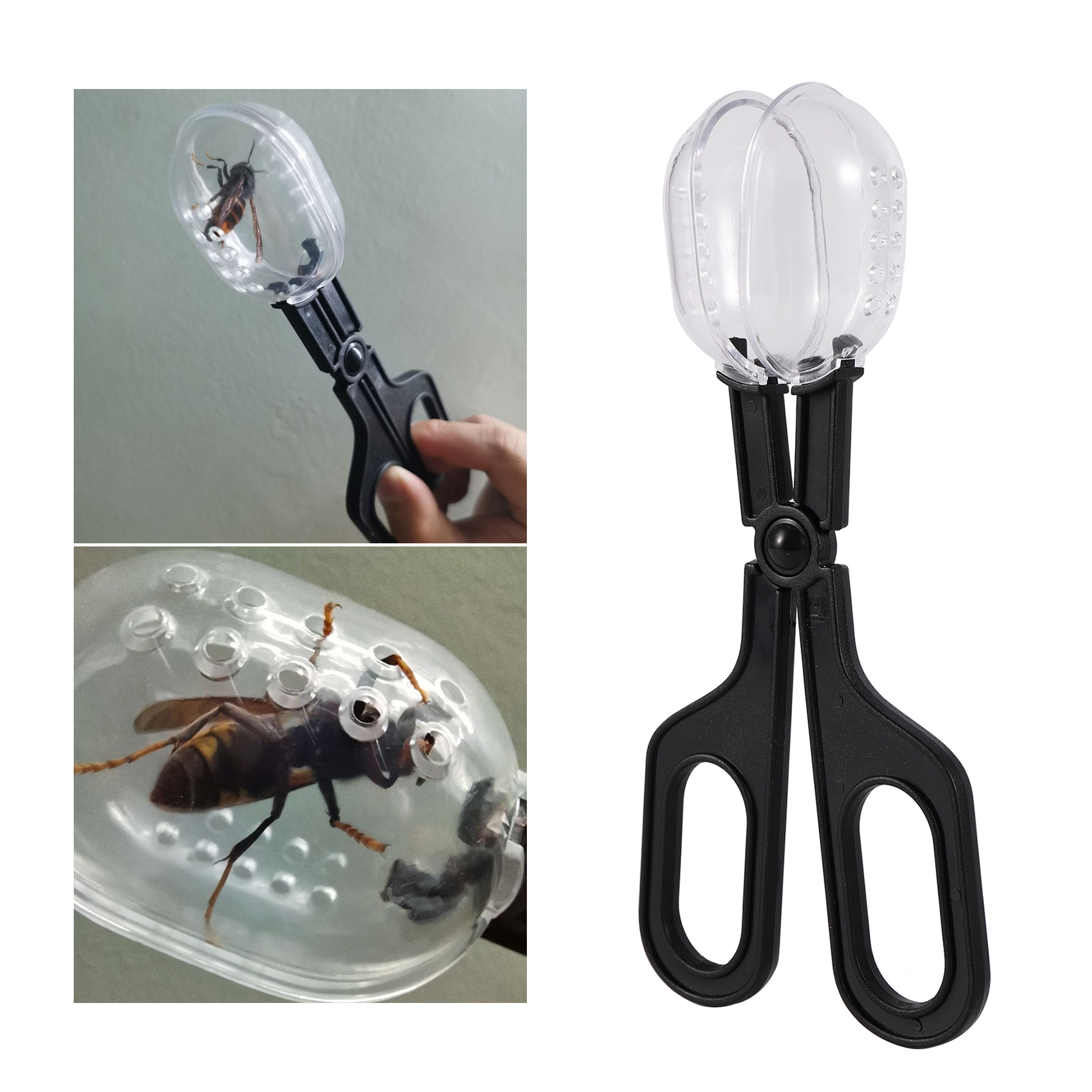 Bee Catching Clip Bee Queen Tr - Home Security Fence recensie en prijs