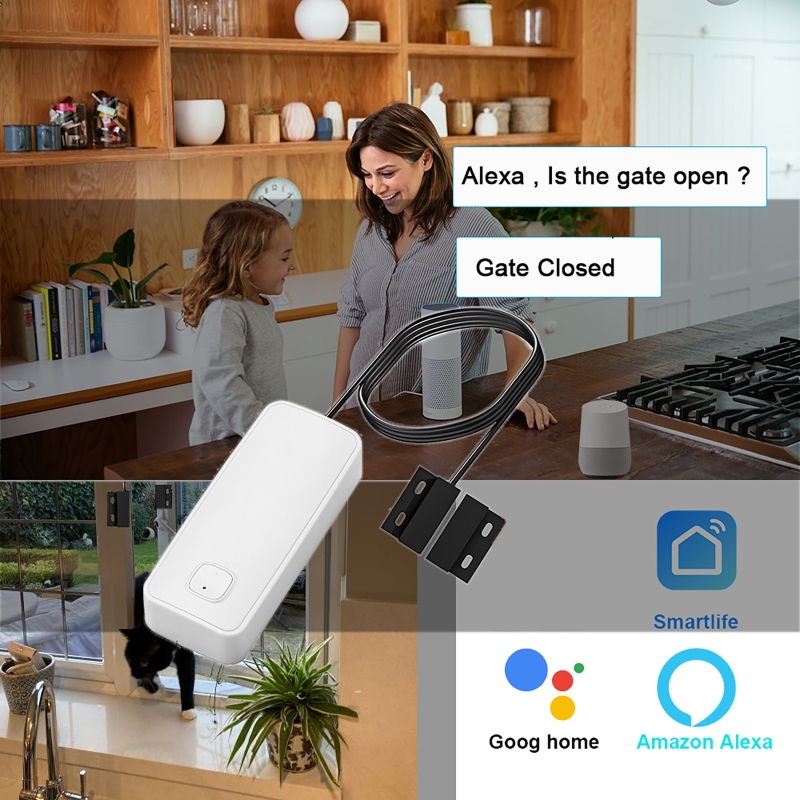 Smart Door Window Magnetic Det - Home Security Gate recensie en prijs