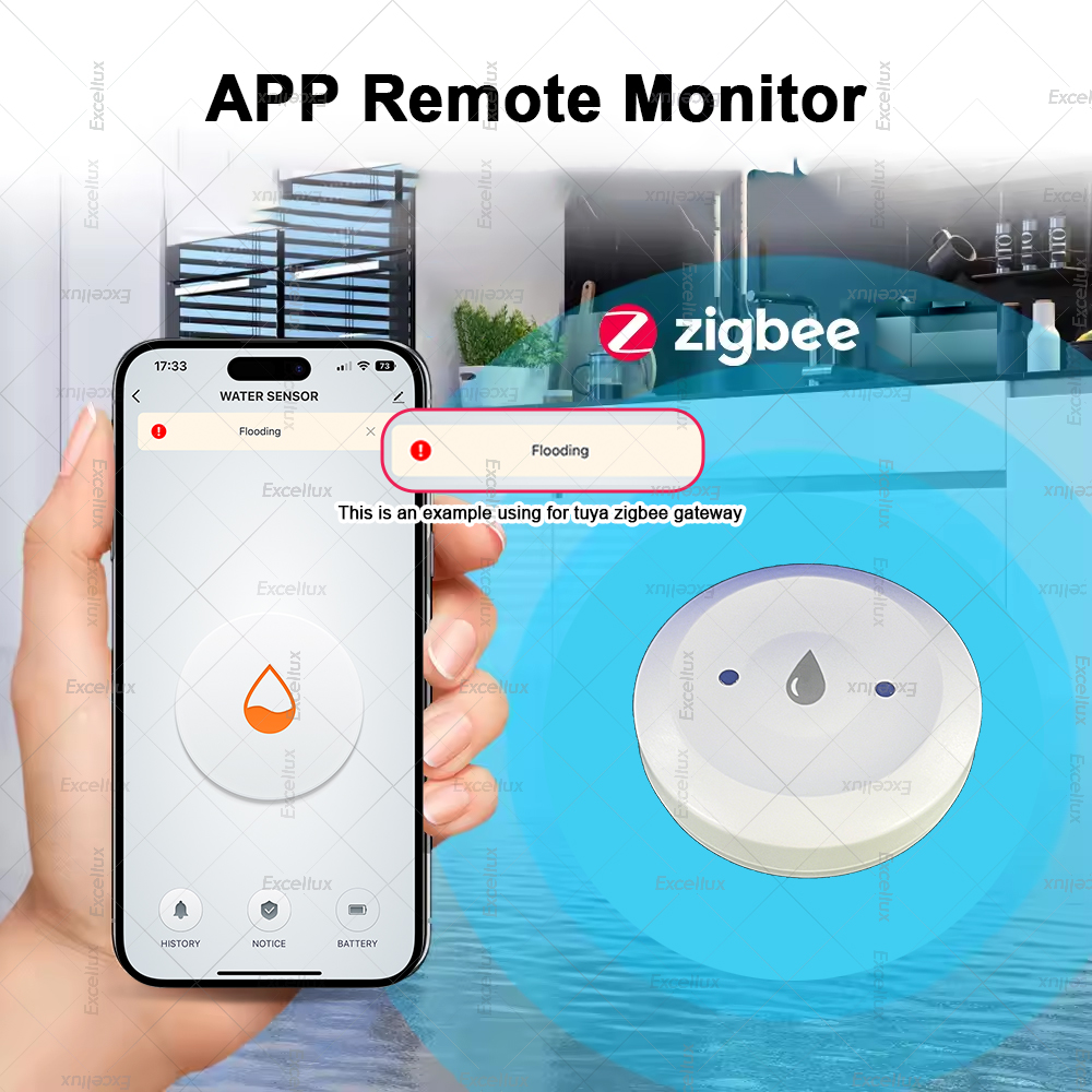 Zigbee Water Detector Leakage  - Home Security Tools recensie en prijs