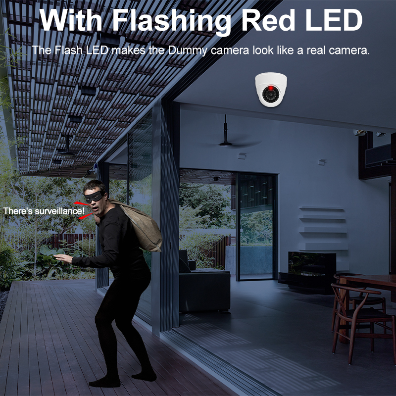 Fake Conch Dome Dummy Camera F - Home Security Beams recensie en prijs