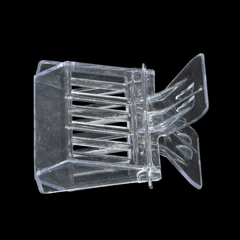 50 Pcs Bee Queen Catcher Color - Home Security Fence recensie en prijs