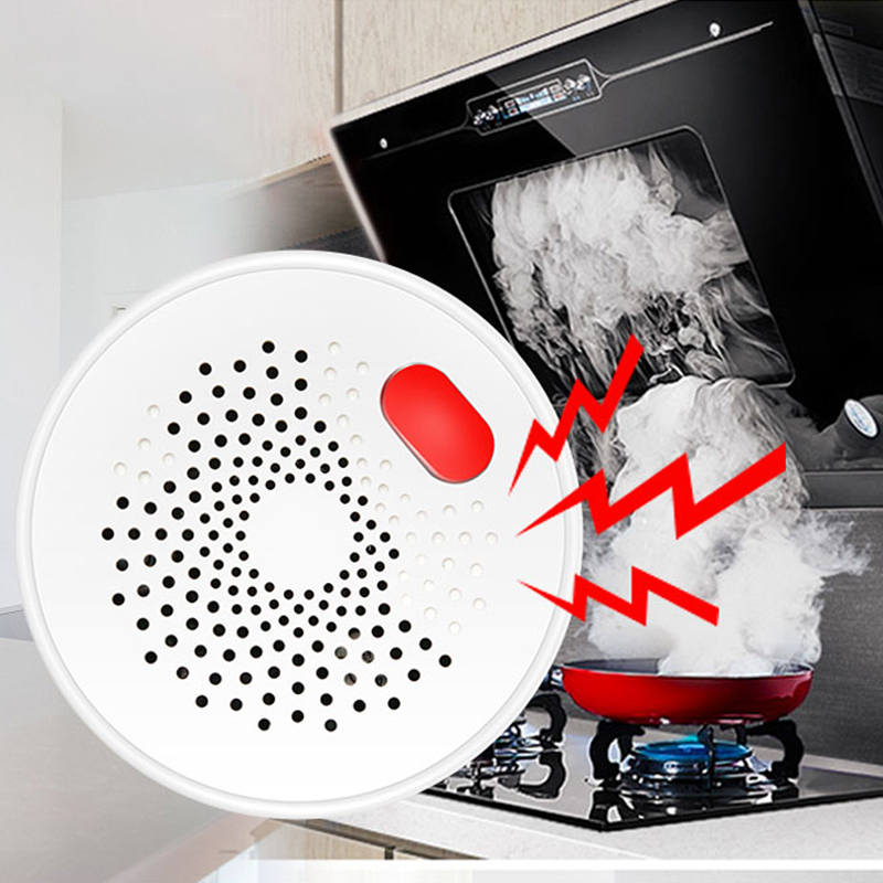 Tuya Smart Home Wifi Natural G - Home Security Tools recensie en prijs