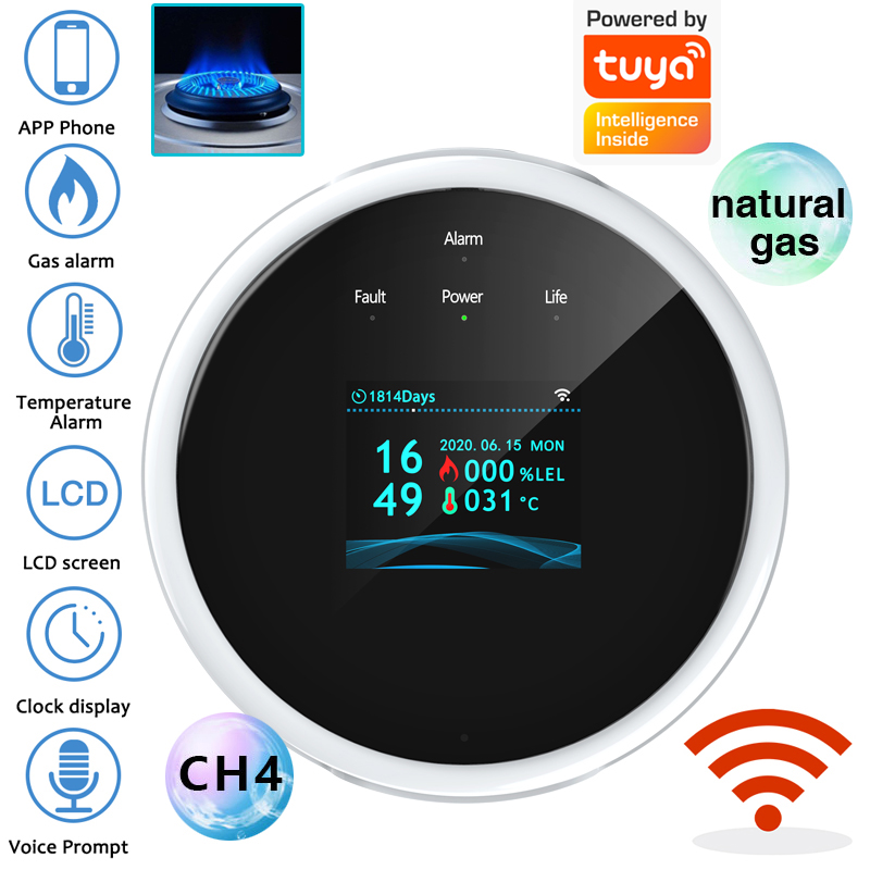 2.4G WiFi Gas Alarm Sensor Com - Home Security Monitor recensie en prijs