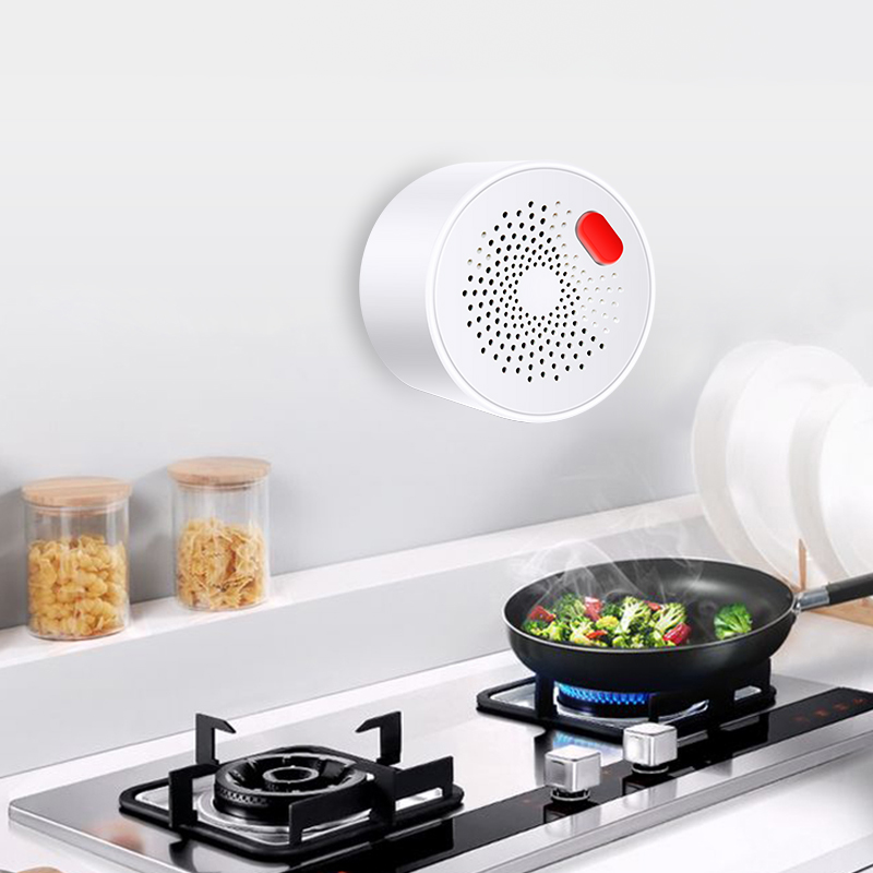 Tuya Smart Home Wifi Natural G - Home Security Tools recensie en prijs