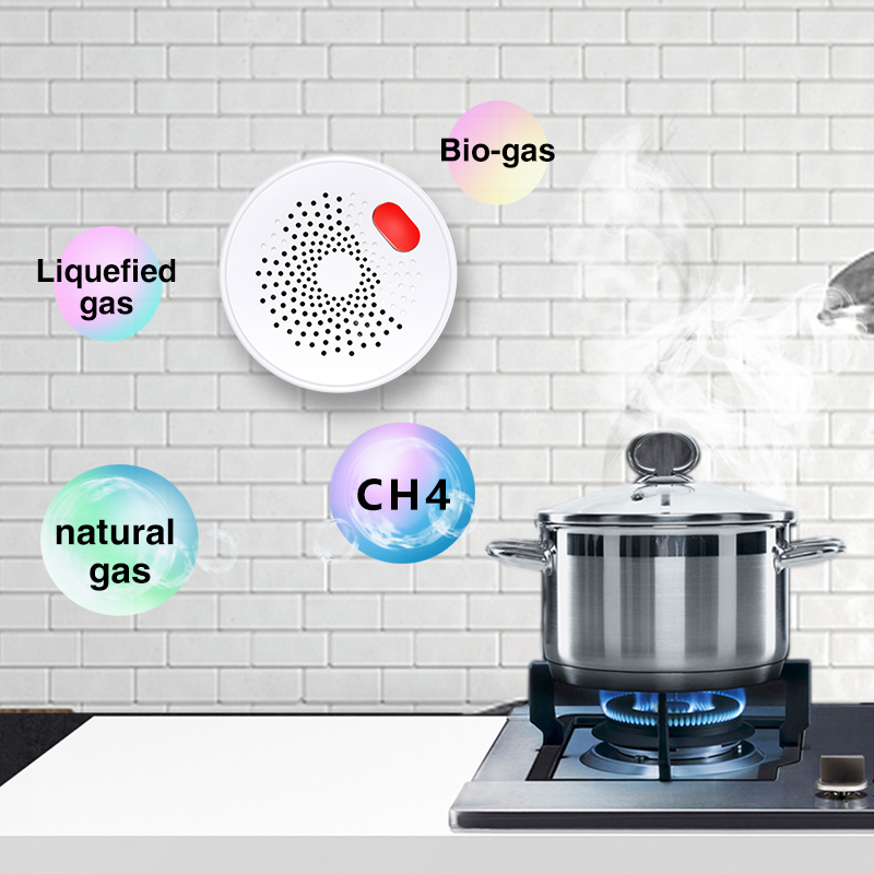 Tuya Smart Home Wifi Natural G - Home Security Tools recensie en prijs