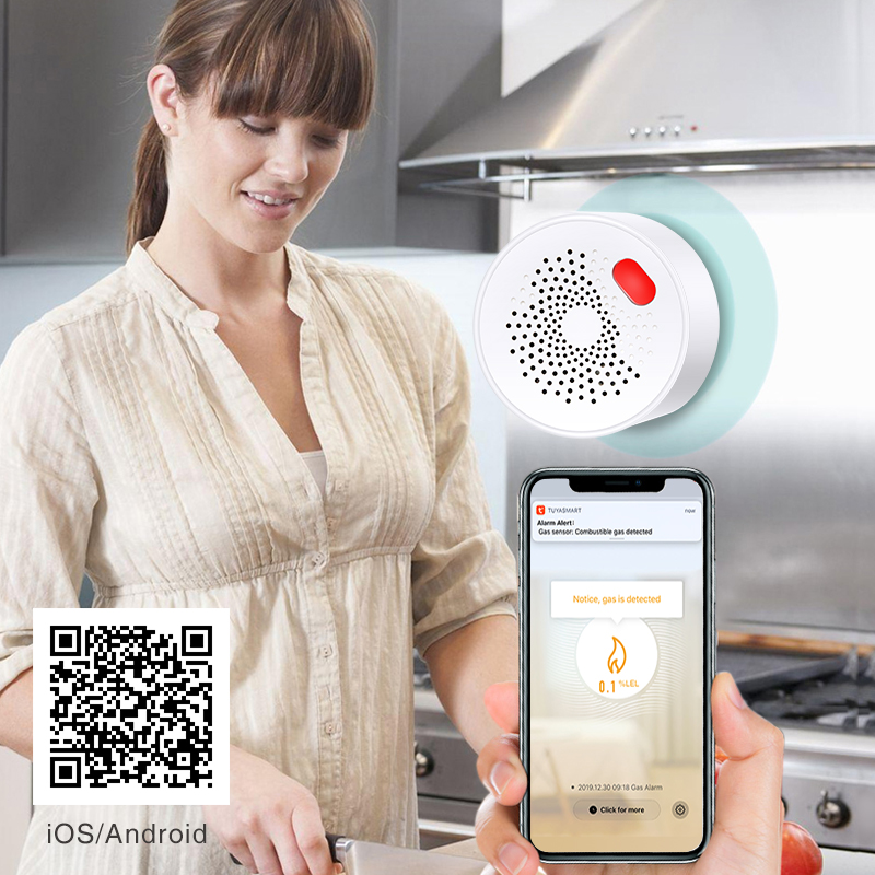 Tuya Smart Home Wifi Natural G - Home Security Tools recensie en prijs